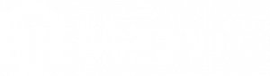 Magento logo https://www.flagshipcompany.com
